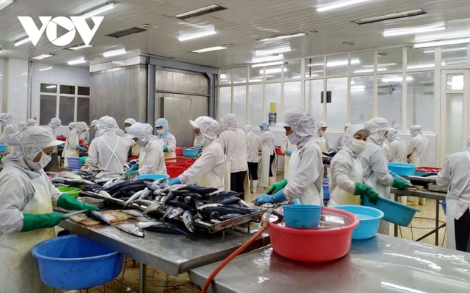 Nâng cao hiệu quả công tác đánh giá việc thực thi và các tác động của Hiệp định EVFTA