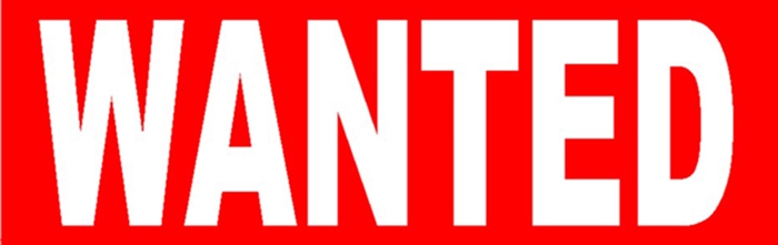 Lệnh truy nã của Phòng cảnh sát hình sự - Công an TP Hải Phòng về vụ án trộm cắp tái ản tại cảng Greenport