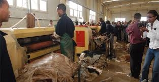  Các thợ thuộc da Bangladesh mất đơn hàng do chậm di chuyển