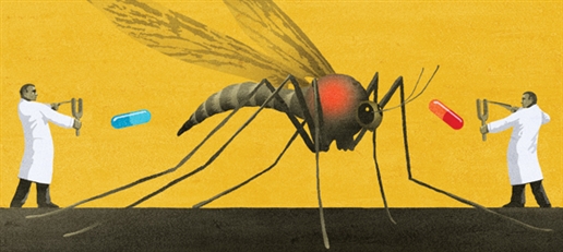  Dự án nghiên cứu khảo sát sử dụng bọt chống sốt rét trong giày dép