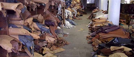 Trung tâm thuộc da chính thức được mở cửa tại Jalandhar