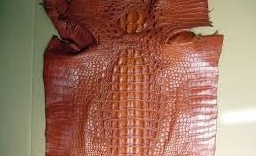 Bangladesh sẽ xuất khẩu 0,5 triệu USD sang Nhật Bản 