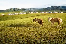 Nhà thiết kế Hà Lan ra mắt bộ quần áo da bền vững 