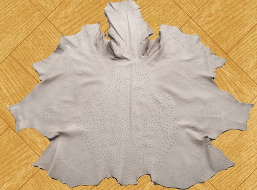 Công ty Kinh doanh Đà Điểu Cá Sấu Khatoco – đơn vị hàng đầu trong ngành da thuộc đà điểu, cá sấu