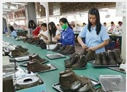  Ngành công nghiệp da có thể phát triển lành mạnh với mức giá da sống hợp lý