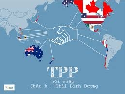 TPP là cơ hội tốt cho ngành công nghiệp giày dép Mỹ 