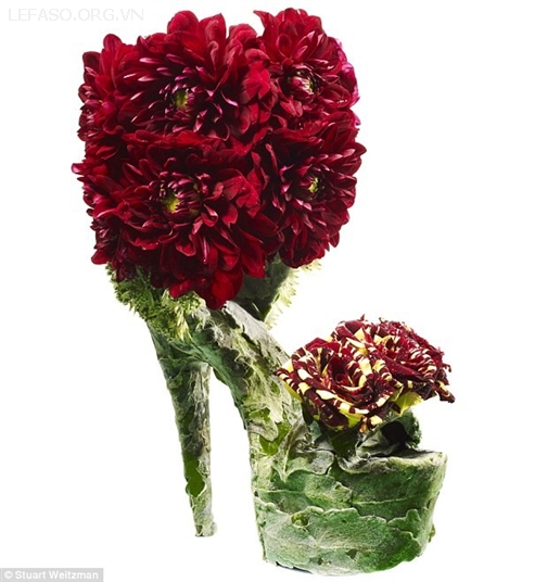 Bộ sưu tập giày độc nhất vô nhị