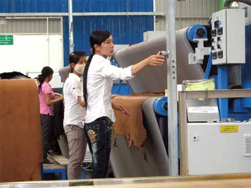 Hội nghị Phát triển ngành công nghiệp thuộc da Việt Nam trong xu thế hội nhập kinh tế quốc tế 2014