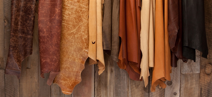 Chính phủ Mỹ đóng cửa ảnh hưởng đến ngành da