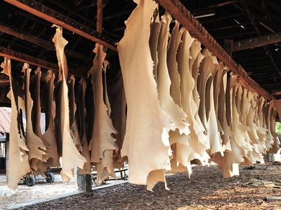 Tổng quan thị trường da sống và da Pháp năm 2017