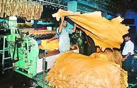 Tình hình sản xuất da thuộc tại Pakistan