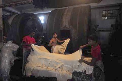 Tiêu thụ da sống ảnh hưởng đến ngành công nghiệp thuộc da Nigeria