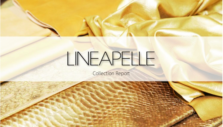  Tìm cơ hội kinh doanh tại LINEAPELLE 2015 – Italia