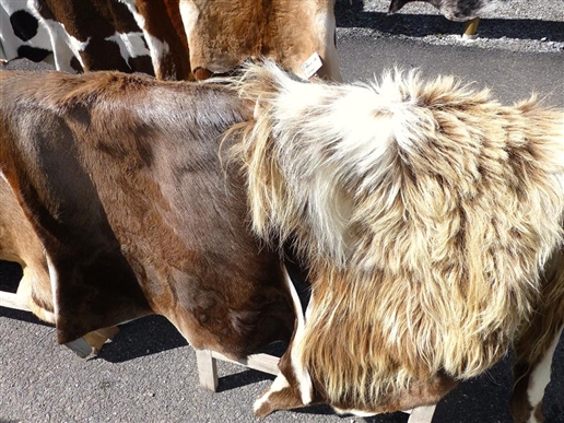 Hermès bù đắp sự suy giảm trong doanh số túi da Trung Quốc 